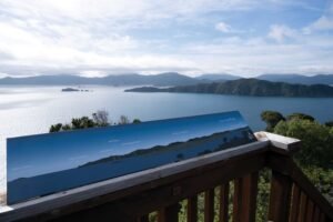 Marlborough Sounds Motuara-lookout