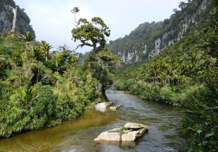 Pororari-River-01