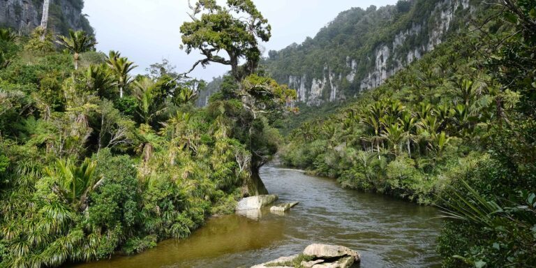 Pororari-River-01
